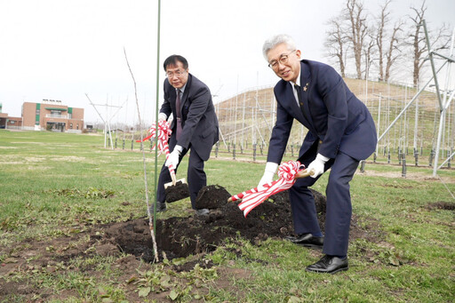 台南市長 黃偉哲回訪弘前市長 種下蘋果樹祈願兩市情誼永固、市民平安