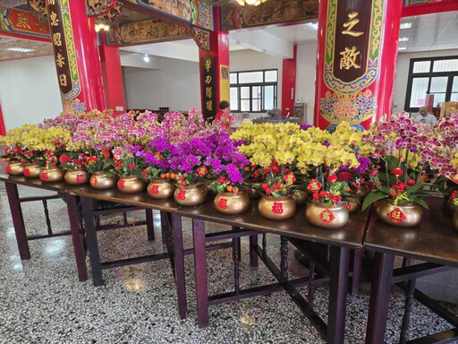 臺南市農業局媒合蘭花園業者與廟宇推廣蝴蝶蘭 信衆大讚好點子 供奉蘭花表敬意