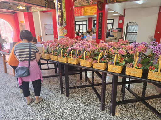 臺南市農業局媒合蘭花園業者與廟宇推廣蝴蝶蘭 信衆大讚好點子 供奉蘭花表敬意
