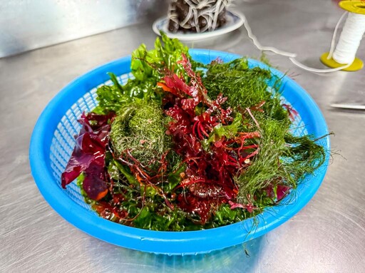 整串海洋粽竟在屏東海生館 端節連假就醬玩