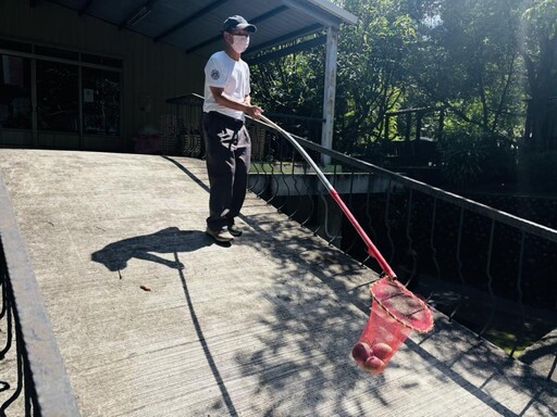 彰化榮家住民夏日果王盛宴 芒芒果香飄家區