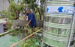 丹娜絲襲台南，公有零售市場受災，搶修後恢復營業