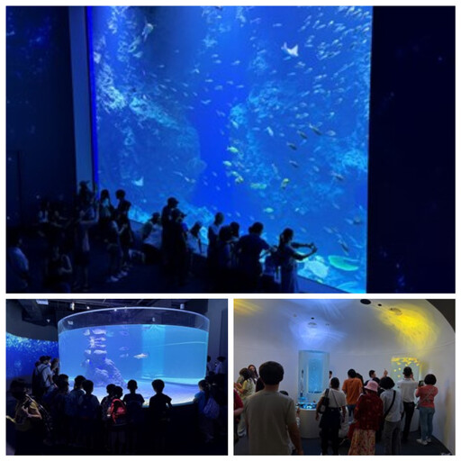 台中海洋館8/21開館!民眾熱情湧入見證6大首創亮點