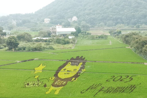 皮皮獅現蹤!關西稻田彩繪九月繽紛登場 9/20–9/21盛大開幕等你來