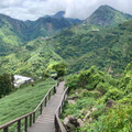阿里山四季茶旅全新體驗、深度茶園療癒之旅正式上架