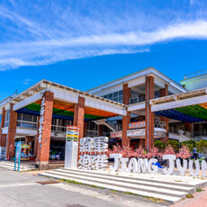 雙春濱海遊憩區首階工程完工！南側紅樹林棧道抬高防淹 115 年全段開放