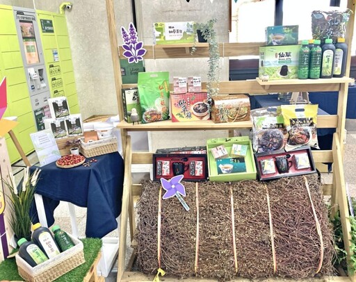 竹縣冬季限定農遊花季盛典 2025關西仙草節12/6-7浪漫花海繽紛登場