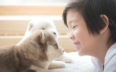 應該為了孩子的要求而養狗嗎？