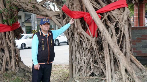 彰化埔鹽順澤宮「澤世容園」揭幕 百年老榕樹煥發新生