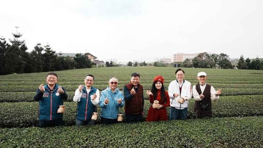 東方美人茶魅力無限！桃園客家茶文化館帶你深入茶藝世界