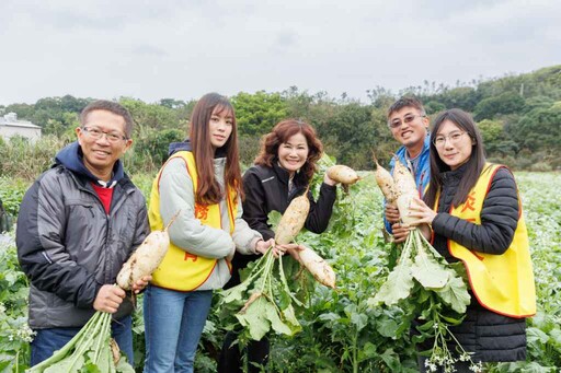 三芝櫻花季3月登場 賞櫻輕旅與農藝饗宴