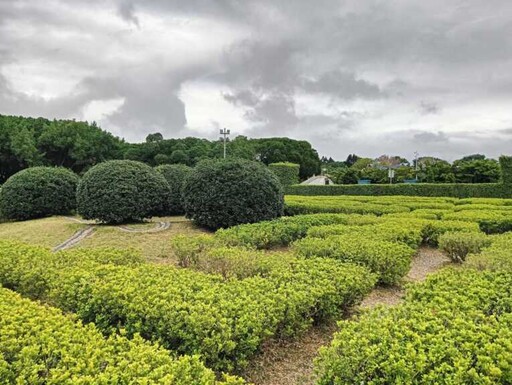 花博迷宮花園來捉迷藏 來新生公園享受漫步城市森林樂趣