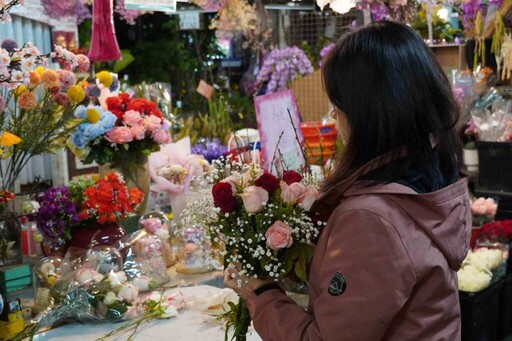 白色情人節 板橋花市消費打卡送萬金杜鵑