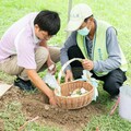 鼓勵響應環保葬 中市樹葬新制免收規費