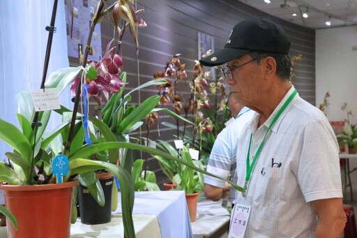 《仙履蘭巡迴展》3天快閃科博館 欣賞百花齊放蘭花饗宴