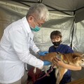 秀傳寵物市集 免費健檢、疫苗施打一次滿足
