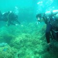 海保署攜手淨海清除海廢 為海洋為珊瑚注入新生機