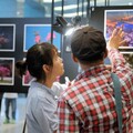 萬金杜鵑攝影展6/4開展 觀展贈臺灣原生種樹苗