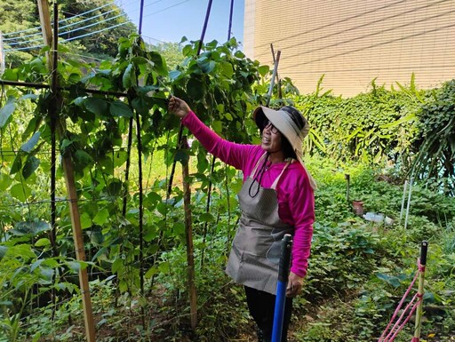 台中環保農園限時報名開跑 30名市民免費享農趣