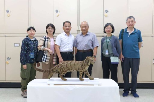 珍稀台灣雲豹標本亮相 科博館獲贈127件日治動物標本