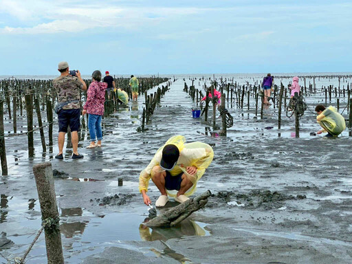國際青年走入王功 一日成為漁村「在地人」