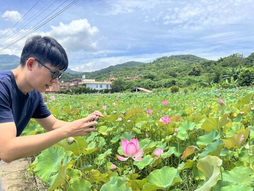 金山區六三農再社區蓮花季小旅行 體驗農村魅力與生態之美