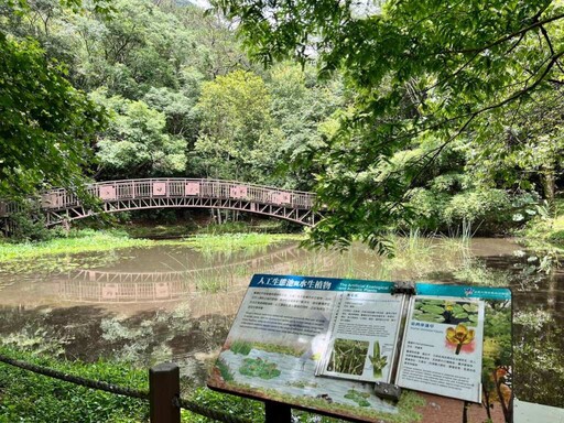 奧萬大國家森林遊樂區生日快樂 7月1日至6日入園只要10元