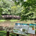 奧萬大國家森林遊樂區生日快樂 7月1日至6日入園只要10元