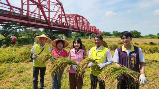 溪州鄉稻田彩繪割稻趣 「割稻飯」飄香西螺大橋下