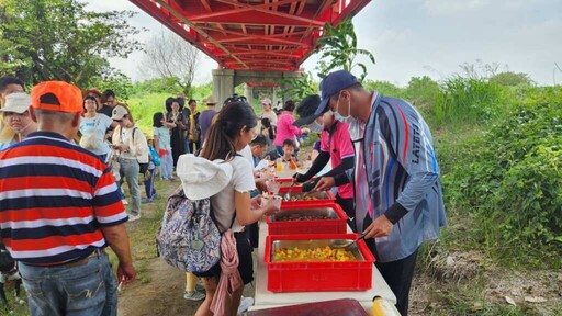 溪州鄉稻田彩繪割稻趣 「割稻飯」飄香西螺大橋下