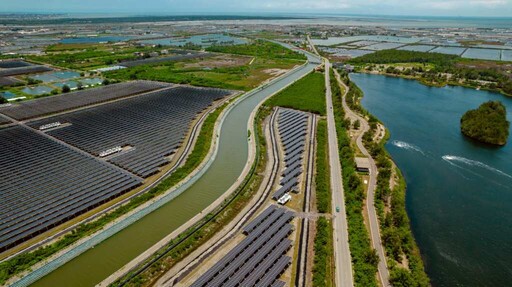 黑面琵鷺降臨電廠濕地！ 星耀打造生態共榮新典範