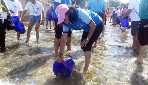 苗栗海洋觀光季 通霄新埔魚苗放流護生態