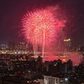 大稻埕夏日節壓軸煙火 圓山風景區「森林方舟」最佳觀賞點