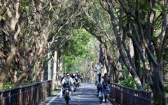 市府改善「東豐自行車綠廊」彎道安全 打造更舒適的騎乘環境