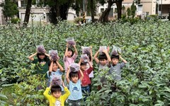 《2025新瓦屋耕讀生活趣》洛神季Chill豐收派對 感受手作樂趣與收成喜悅