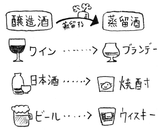 什麼是酒？「釀造酒」與「蒸餾酒」的差別是什麼？