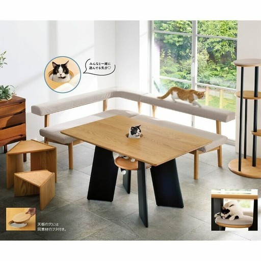 可愛動物搖滾區！這張「寵物餐桌」讓你能跟主子一同吃飯， 還沒吃飽就先被可愛飽！