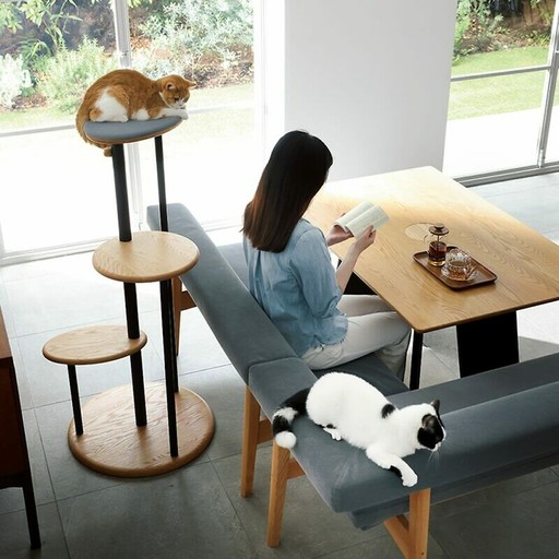 可愛動物搖滾區！這張「寵物餐桌」讓你能跟主子一同吃飯， 還沒吃飽就先被可愛飽！