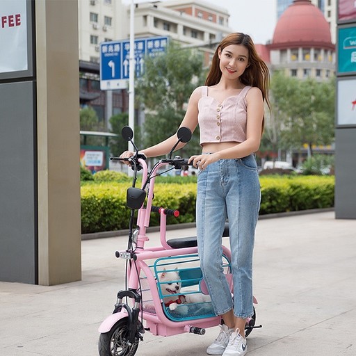 載主子上山下海!超實用「寵物電動專用車」上路,簡約外型 + 齊全配備根本專為鏟屎官設計