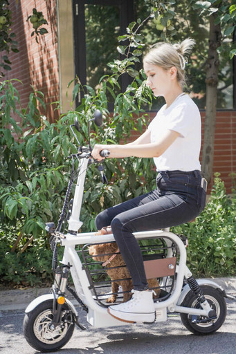 載主子上山下海!超實用「寵物電動專用車」上路,簡約外型 + 齊全配備根本專為鏟屎官設計