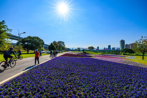 賞花啦！古亭河濱公園 32 萬盆「紫爆花海」盛開中，佔地 24 座籃球場超壯觀
