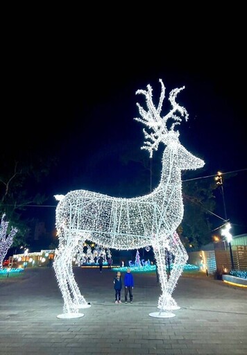 全台唯一8米耶誕大麋鹿！台東首屆「鐵花燈の祭」點亮鐵花村，夢幻光城堡、聖誕樹造型光廊必打卡