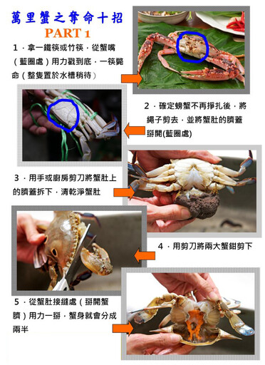 四招教你輕鬆吃蟹－挑蟹、分公母、殺蟹、煮蟹