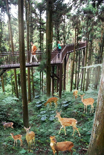 高雄「內門觀光休閒園區」2025年底開放!打造全台首座原生植物花園、近距離接觸可愛動物區