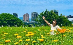 新北河濱2024絢爛花海 春遊少女的祕密花園