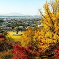 秋天來點不一樣 熊本縣賞楓泡湯吃甜點