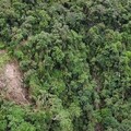 康芮颱風影響，宜蘭縣五峰旗登山步道休園