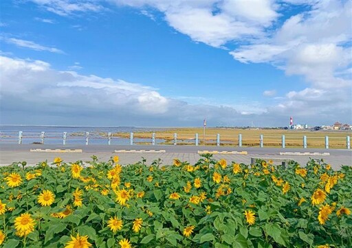 迎春蒔花妝點 台中城市年節喜氣繽紛