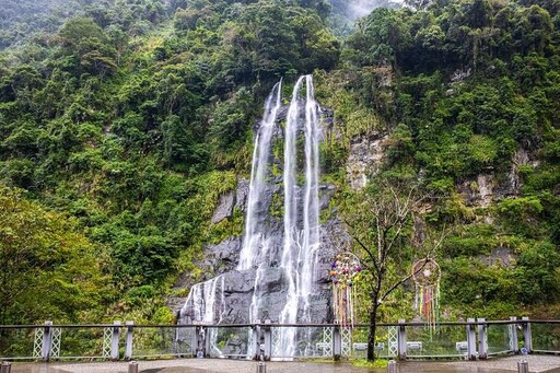 蛇福泰吉來新北 泡湯賞櫻過好年