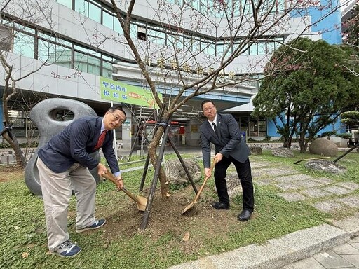 美國聖蓋博市長訪板橋 共植櫻花樹深化友誼